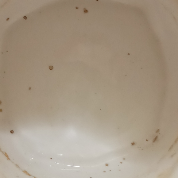 Chippy NAPCO POTTERY with Pear image, Vintage Indoor Planter, Outdoor Plant Pot - Picture 6 of 8